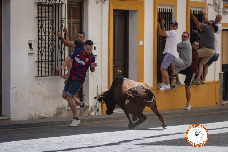 Portada (1)