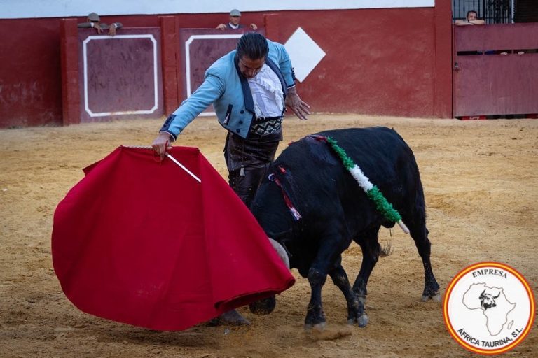 Portada (1)