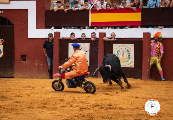 Cómico Feria de Cortes 2025-22