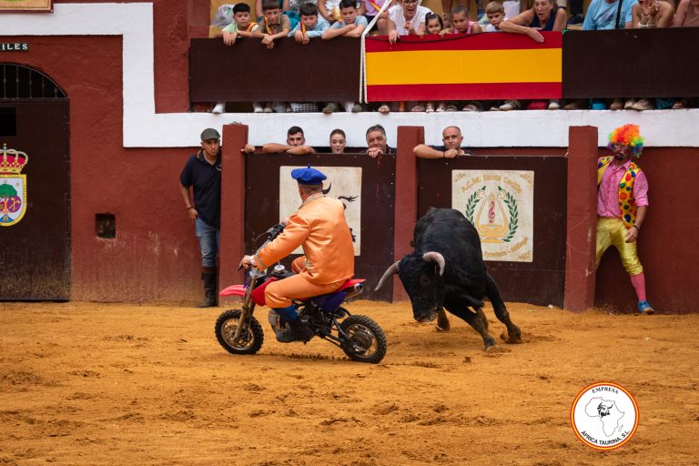 Cómico Feria de Cortes 2025-22