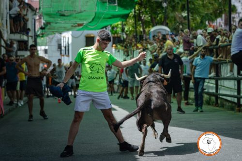 Ambiente-suelta-de-vacas-domingo-2023-6