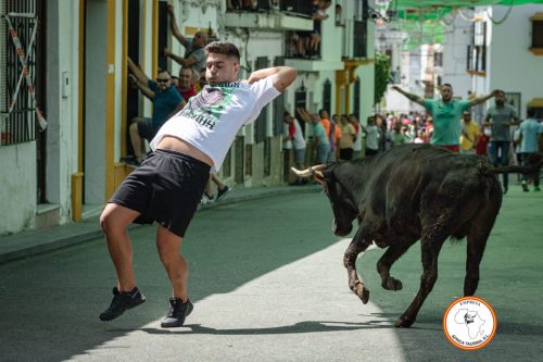 Ambiente-suelta-de-vacas-domingo-2023-8