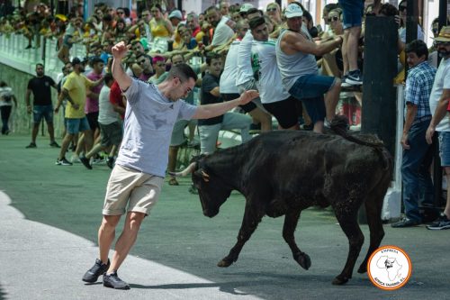 Ambiente-suelta-de-vacas-domingo-2023-9