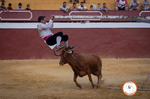 Recortadores-feria-de-Cortes-2023-1