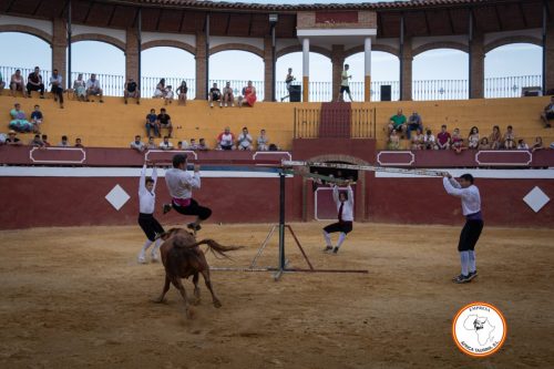 Recortadores-feria-de-Cortes-2023-2
