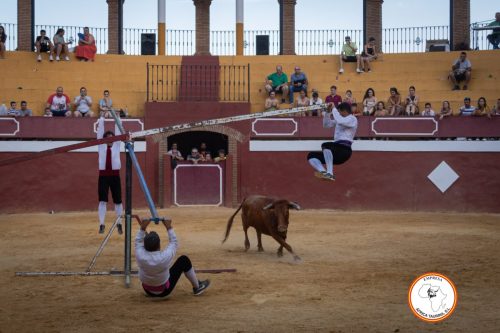 Recortadores-feria-de-Cortes-2023-3