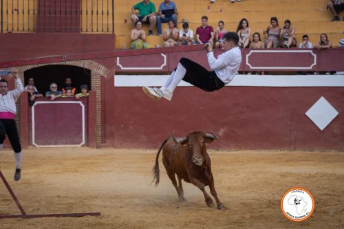 Recortadores-feria-de-Cortes-2023-4
