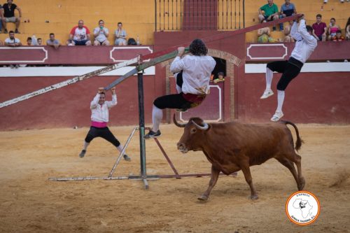 Recortadores-feria-de-Cortes-2023-5