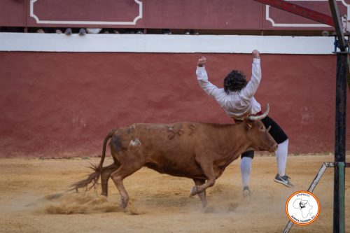 Recortadores-feria-de-Cortes-2023-7