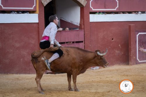 Recortadores-feria-de-Cortes-2023-8