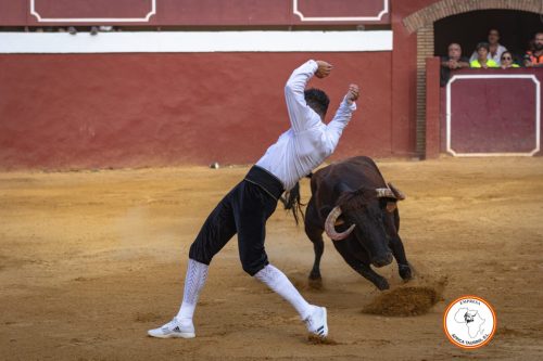 Recortadores-feria-de-Cortes-domingo-10