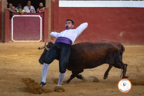 Recortadores-feria-de-Cortes-domingo-14