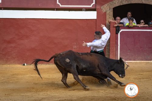 Recortadores-feria-de-Cortes-domingo-15