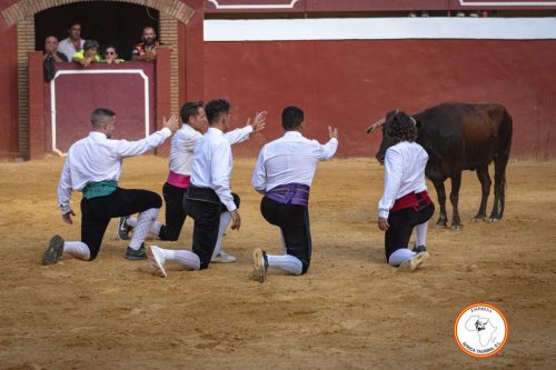 Recortadores-feria-de-Cortes-domingo-17