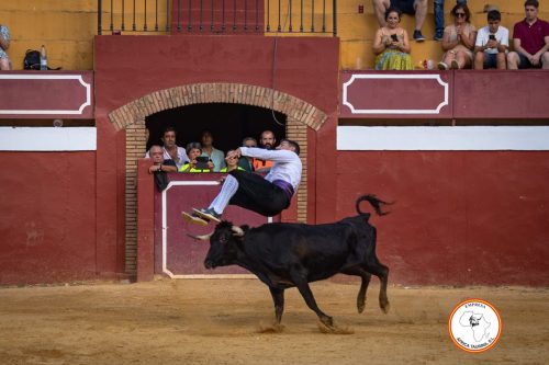 Recortadores-feria-de-Cortes-domingo-20