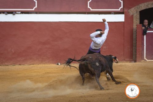 Recortadores-feria-de-Cortes-domingo-8