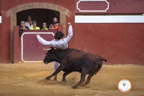 Recortadores-feria-de-Cortes-domingo-9