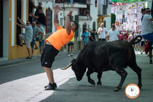 Suelta-domingo-2024-8