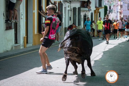 Suelta-domingo-2024-9
