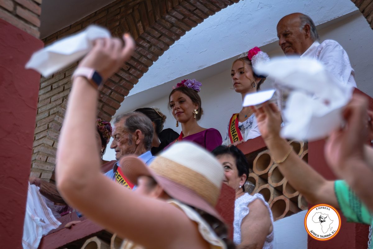 Ambiente-festival-20231