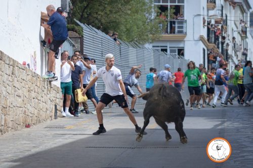 Toro-del-Gayumbo-2024-5