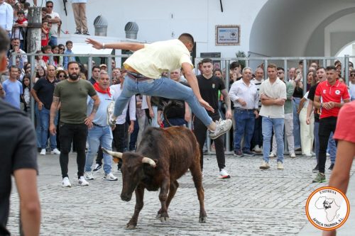 IMG 0437