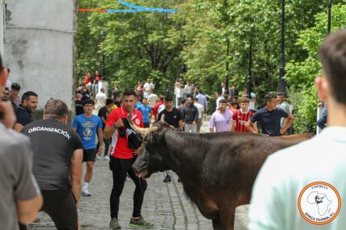 IMG 0532