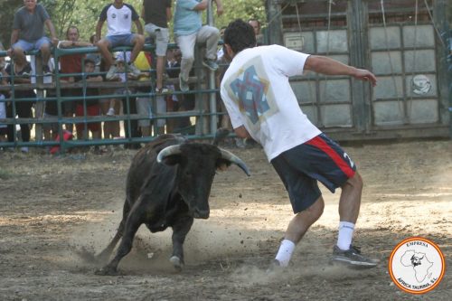IMG 3746