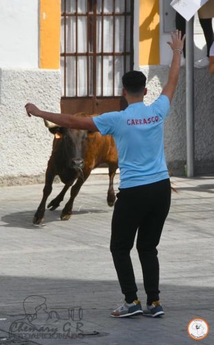 IMG 7317