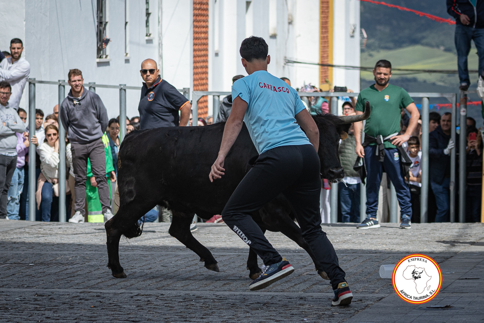 Alcala-vaca-1-5