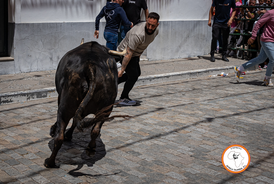 Alcala-vaca-3-1