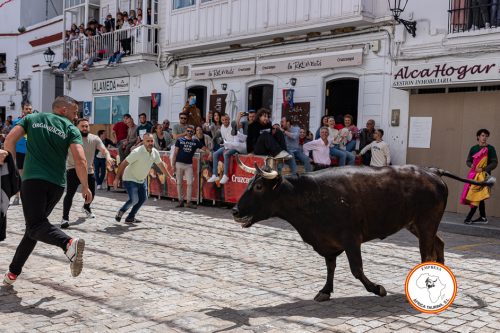 Alcala-vaca-2-1