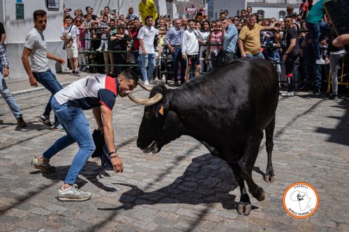 Alcala-vaca-3-5