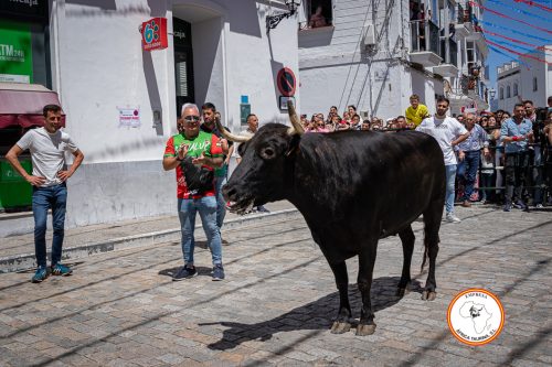 Alcala-vaca-3-6
