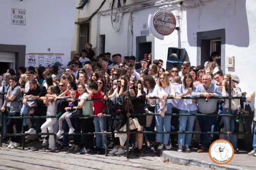 Ambiente-Alcala-2024-19