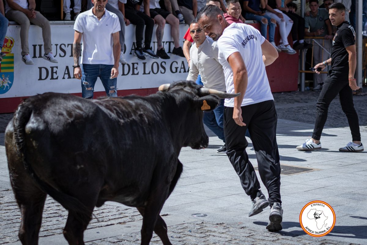 San-Jorge-26-de-Abril-2025-27