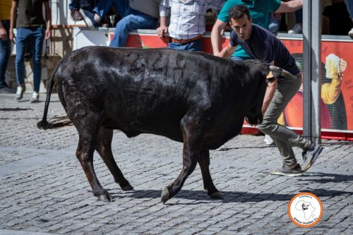 San-Jorge-26-de-Abril-2025-25