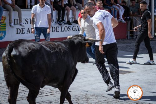 San-Jorge-26-de-Abril-2025-27