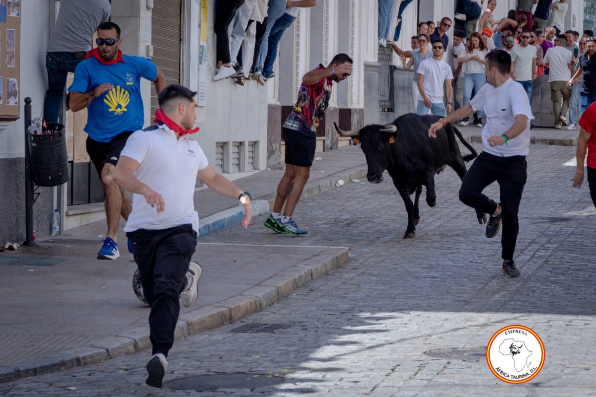 San-Jorge-2025-27-de-Abril-22
