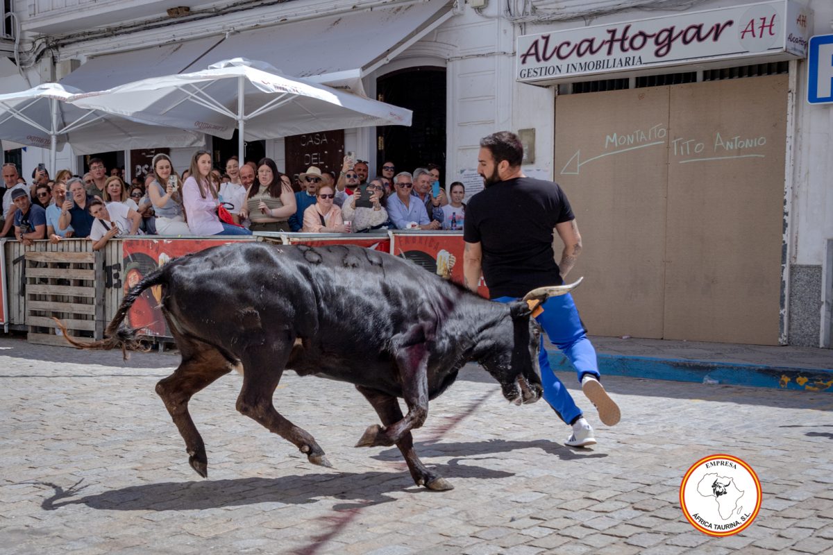 San-Jorge-2025-27-de-Abril-24
