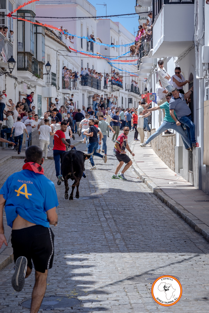 San-Jorge-2025-27-de-Abril-25