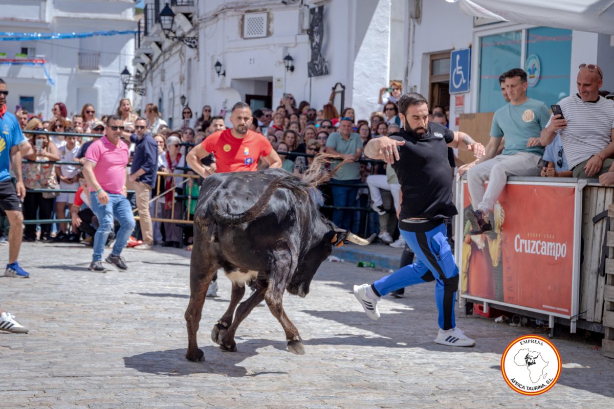 San-Jorge-2025-27-de-Abril-30