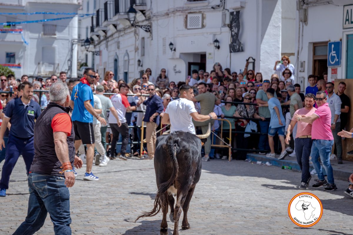 San-Jorge-2025-27-de-Abril-31