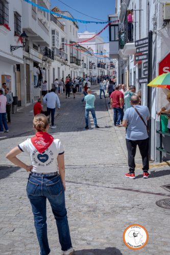 San-Jorge-2025-27-de-Abril-14