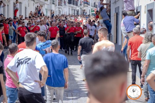 San-Jorge-2025-27-de-Abril-16