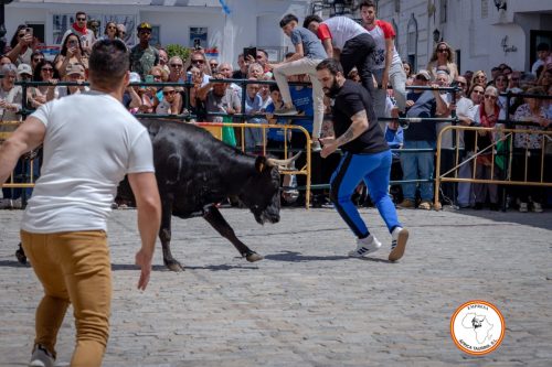 San-Jorge-2025-27-de-Abril-23