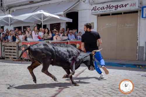 San-Jorge-2025-27-de-Abril-24