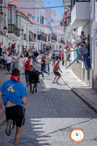 San-Jorge-2025-27-de-Abril-25