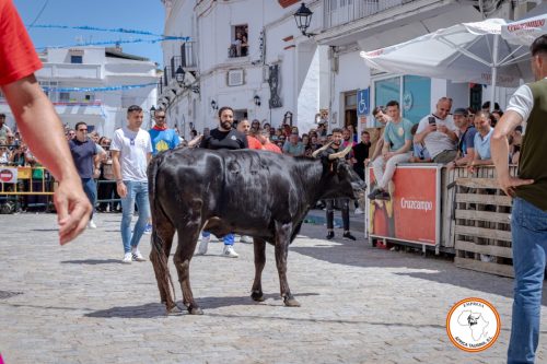San-Jorge-2025-27-de-Abril-29