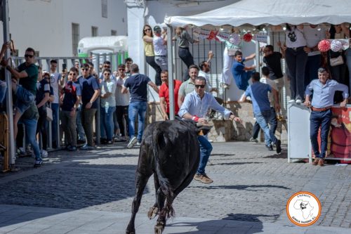 San-Jorge-2025-27-de-Abril-3